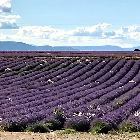 Oasis En Provence Luberon